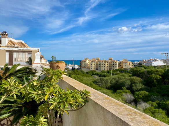 Properties for sale in Torre La Mata, near la ma ta beach