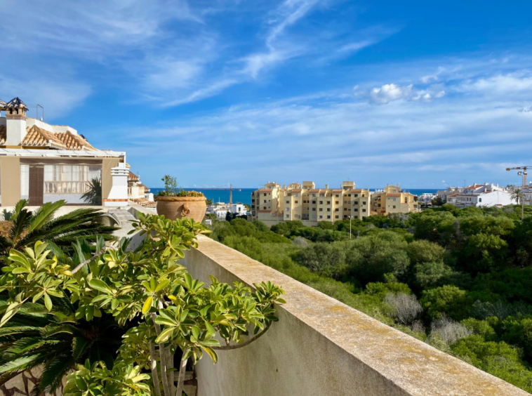 Properties for sale in Torre La Mata, near la ma ta beach