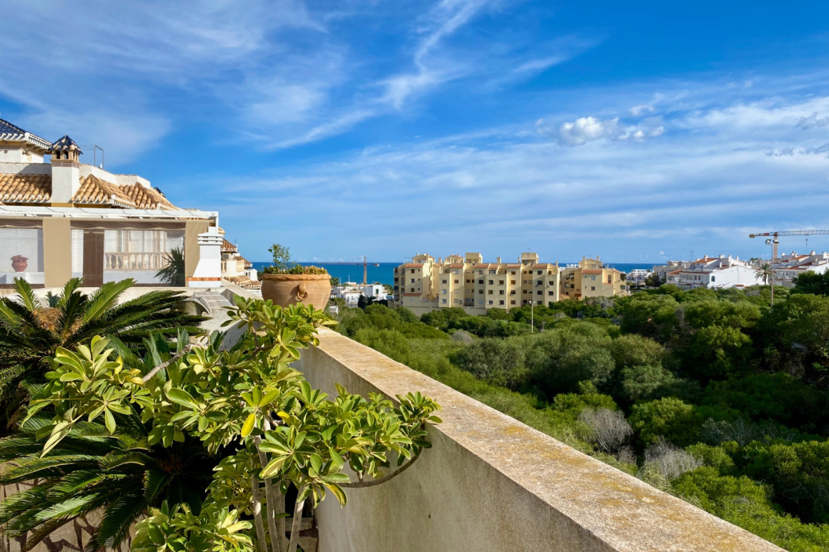 Properties for sale in Torre La Mata, near la ma ta beach